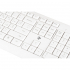 Клавіатура 2E KS220 Wireless White (2E-KS220WW) - Фото 6