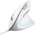 Мишка Trust Verto Ergonomic USB White (25133) - Фото 1