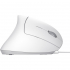 Мишка Trust Verto Ergonomic USB White (25133) - Фото 5