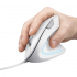 Мишка Trust Verto Ergonomic USB White (25133) - Фото 6
