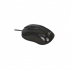 Мишка Esperanza Titanum TM103K Black - Фото 2