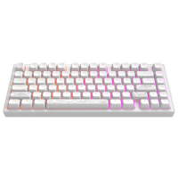 Клавіатура Dark Project ALU81 Terra Nostra PBT RGB Mech G3MS Moonstone White (DPKB_NOSTRA_81_ANSI_WHITE_UA)