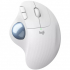 Мишка Logitech Ergo M575 for Business Wireless Trackball Off-White (910-006438) - Фото 1