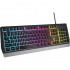 Клавіатура Genesis Rhod 300 LED Backlight USB Black (NKG-1823) - Фото 2