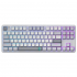 Клавиатура Dark Project ALU87 Daylight ABS RGB Mech G3MS Zircon White/Grey (DPKB_DAYLIGHT_87_ANSI_UA) - Фото 2