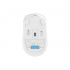 Мишка A4Tech FG10CS Air Wireless Grayish White (4711421992091) - Фото 9
