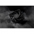 Кулер до корпусу Ekwb EK-Loop Fan FPT 120 - Black (550-2300rpm) (3831109900000) - Фото 7