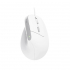 Мишка Trust Bayo II Ergonomic USB White (25397) - Фото 1