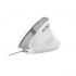 Мишка Trust Bayo II Ergonomic USB White (25397) - Фото 2