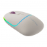 Мишка Canyon MW-22 Dual Band RGB Wireless Rice (CNS-CMSW22RC) - Фото 1