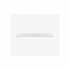 Клавиатура Apple Magic Keyboard з Touch ID Bluetooth (MK293UA/A) - Фото 2