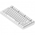 Клавиатура Dark Project ALU81 Terra Nova PBT RGB Mech G3MS Moonstone White (DPKB_NOVA_81_ANSI_WHITE_UA) - Фото 2