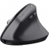 Мишка Trust Bayo + Ergonomic Wireless/Bluetooth Black (25146) - Фото 3