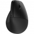 Мишка HP 920 Ergonomic Vertical Wireless/Bluetooth Black (6H1A4AA) - Фото 1