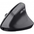 Мишка Trust Bayo 2 Ergonomic Wireless/USB-A Black (25145) - Фото 1