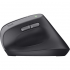 Мишка Trust Bayo 2 Ergonomic Wireless/USB-A Black (25145) - Фото 5